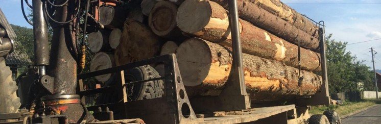 Водія з Львівщини зборівські поліцейські зупинили з цілою вантажівкою дров