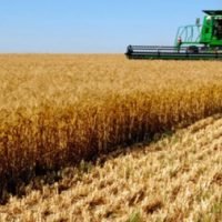 Тернопільський економіст Борис ЯЗЛЮК: “Агросектор України через 3-5 років можна вивести на якісно новий рівень”