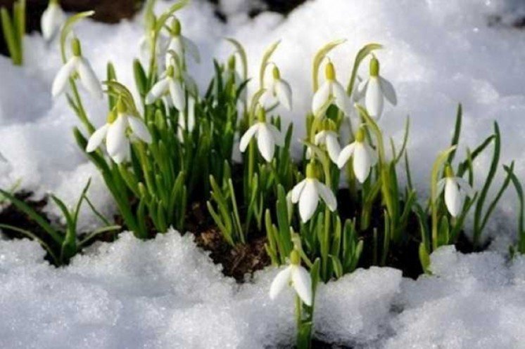 В Україну повертається весна