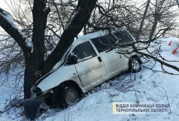 Через випивку мешканець Бережан отримав проблеми із законом та понищене авто (ФОТО)