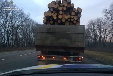 На Тернопільщині патрульні зупинили вантажівку з «нелегальною» деревиною (ФОТО)