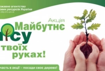 Жителі Тернопільщини можуть долучитися до акції «Майбутнє лісу у твоїх руках»