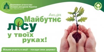 Жителі Тернопільщини можуть долучитися до акції «Майбутнє лісу у твоїх руках»