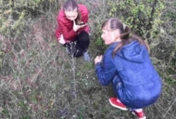 На Тернопільщині юні лісівники проводять наукові дослідження (ФОТО)
