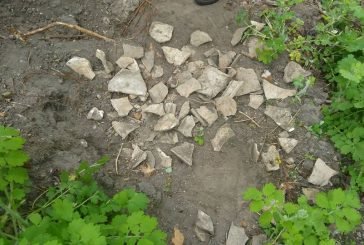 «Чорні» археологи занадилися на Замкову гору у Кременці (ФОТО)