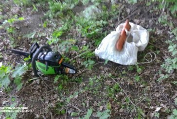 На Тернопільщині патрульні спіймали чоловіка який різав дерева у придорожній лісосмузі (ФОТО)