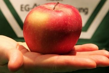 Американку в аеропорті оштрафували на $500 за яблуко