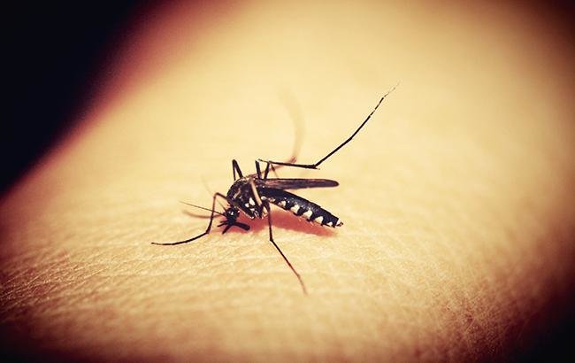 У Тернополі зафіксували випадок малярії