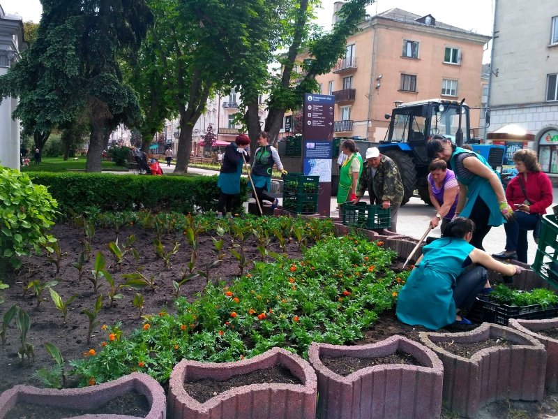 Центр Тернополя прикрашають квітами (ФОТО)