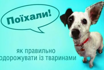 Як перевозити собак та котів з України - до Євросоюзу