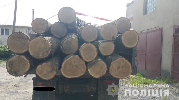 На Тернопільщині затримали вантажівку заповнену колодами дуба без відповідних документів (ФОТО)