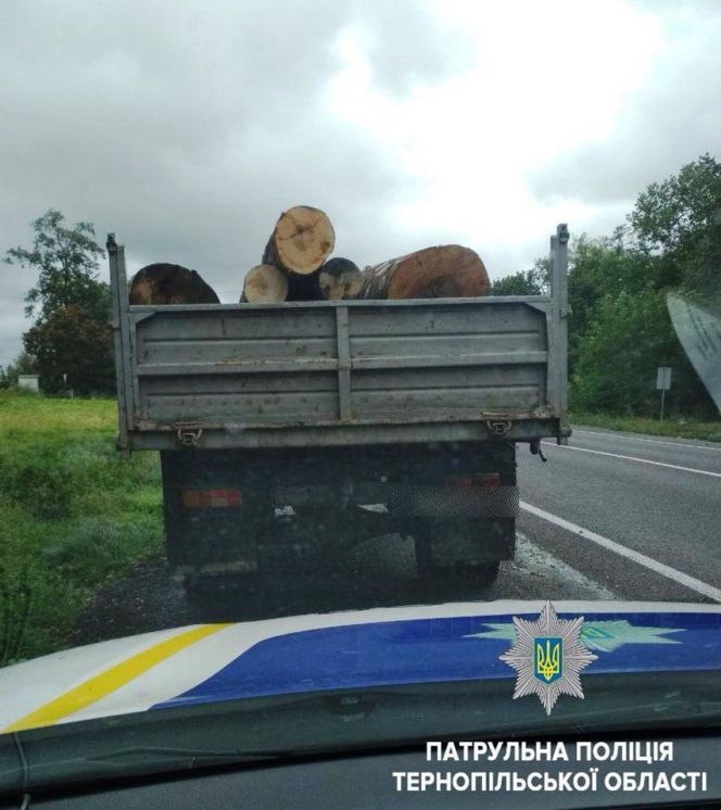 На Тернопільщині затримали дві вантажівки з колодами без відповідних документів (ФОТО)