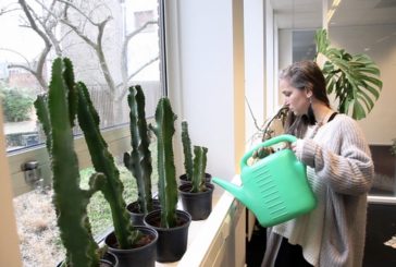 У Голландії відкрили «притулок» для рослин