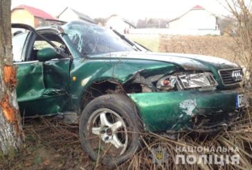 На Тернопільщині 21-річний водій з’їхав з дороги та врізався в дерево (ФОТО)