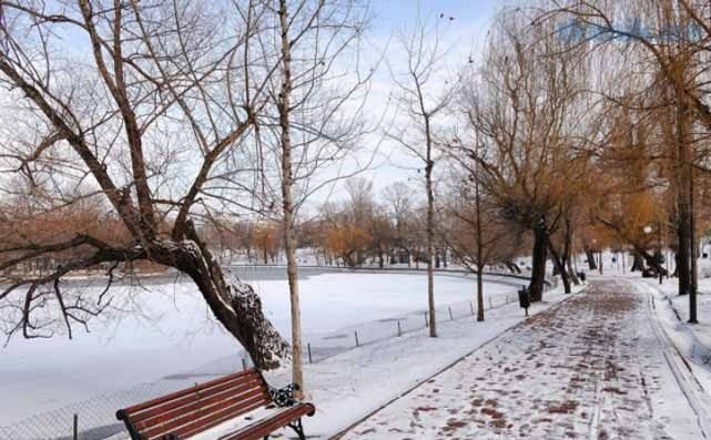 Сьогодні на Тернопільщині цілий день сніжитиме