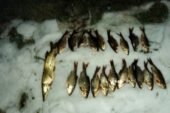 Попалися браконьєри, які на річці Стрипа в Теребовлянському районі сітками ловили рибу (ФОТО)