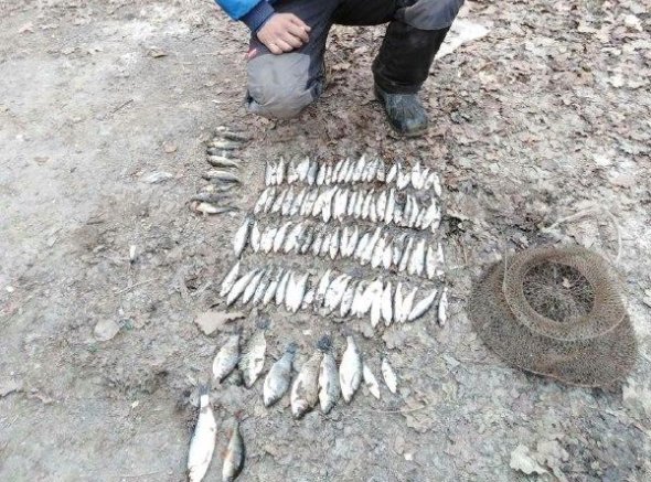 На річці Серет у Заліщицькому районі браконьєри наловили риби на 4 тис грн (ФОТО)
