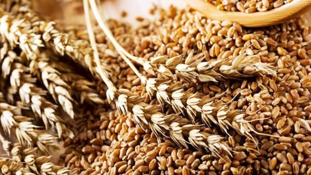 На Тернопільщині зібрали майже 2,7 млн тонн зерна