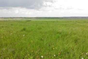 На Теребовлянщині агропідприємство незаконно використовувало понад 30 га землі