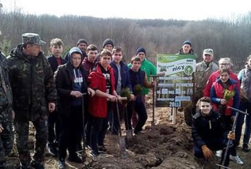 Озерянські школярі створили на Чортківщині два гектари соснового лісу (ФОТО)