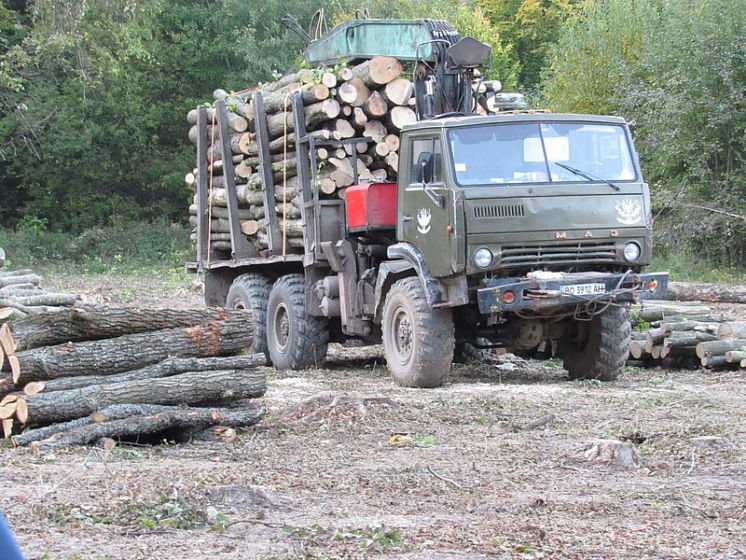 На Тернопільщині суворіше контролюватимуть перевезення деревини