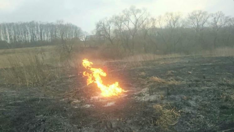 Полум’я виходило з-під землі: поблизу Тернополя через спалювання сухої трави ледь не сталася трагедія (ФОТО)