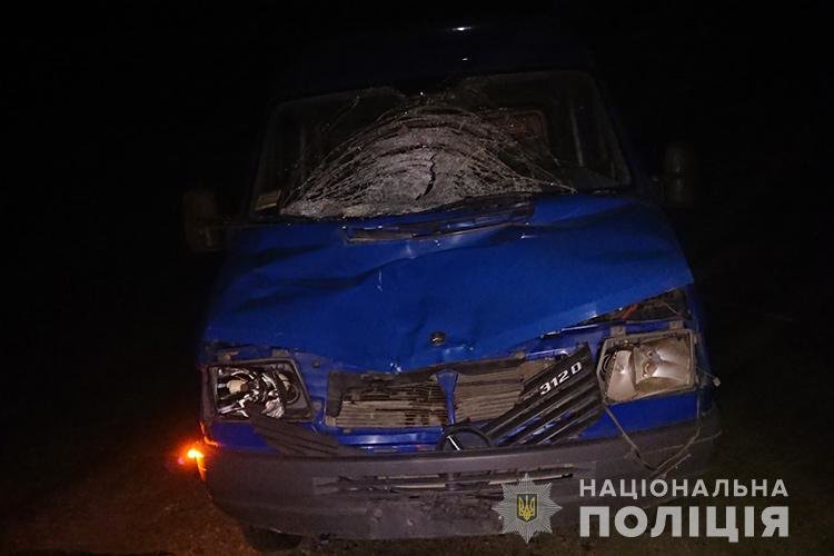 На Тернопільщині водій буса збив чоловіка, який вночі стояв посеред дороги (ФОТО)