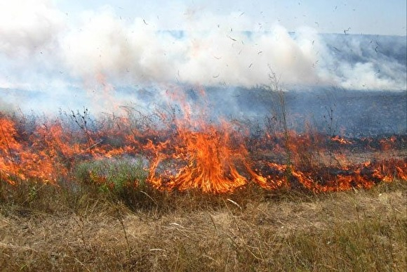 На Тернопільщині через спалювання сухої трави мало не згоріла церква
