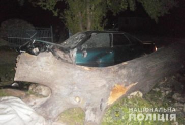 На Тернопільщині водій на Audi 80 влетів в лежачий стовбур дерева та потрапив до реанімації (ФОТО)