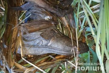 Правоохоронці встановили особу людини, кістки якої найшли в річці у Тернополі