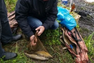 У Тернополі браконьєри виловлюють рибу, а муніципали «виловлюють» браконьєрів (ФОТО)