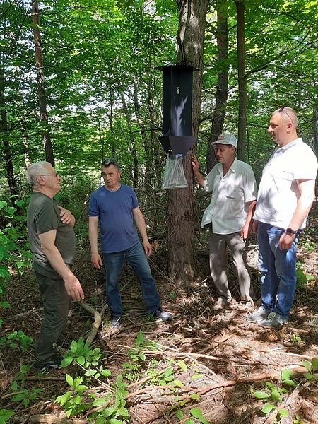 У Бучацькому лісгоспі встановлюють феромонні пастки для боротьби з шкідниками (ФОТО)