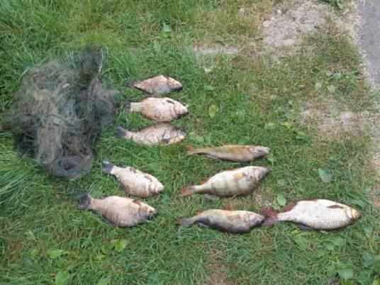 На Тернопільщині браконьєри наловили 151 кг риби (ФОТО)