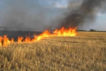На Тернопільщині господарі й далі спалюють стерню: на Підволочищині горіло 3 гектари