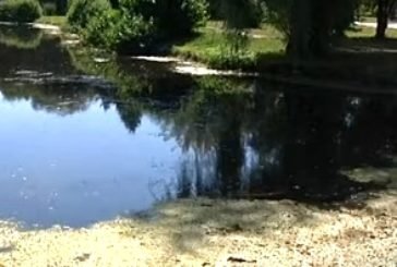 У Тернополі, в гідропарку «Топільче», очистять водойми: цього не робили понад 30 років