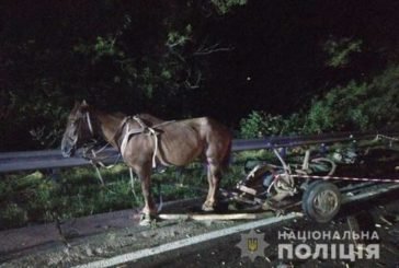 Смертельна аварія на Тернопільщині: вантажівка наїхала на підводу