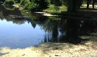 У Тернополі очистять водойми, що знаходяться в гідропарку «Топільче»