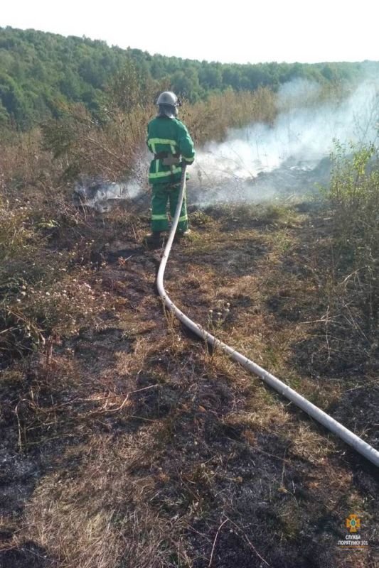 На Бережанщині через підпал сухої трави ледь не згорало 180 гектарів лісу