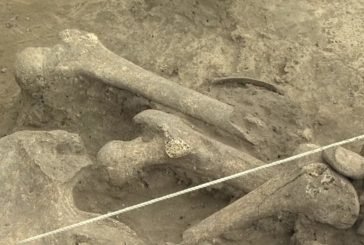 На Рівненщині знайшли рештки жінки, що жила 6 тисяч років тому: що здивувало археологів (ВІДЕО)