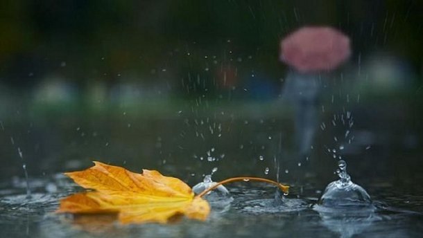 Останній вересневий день подарує «бабине літо» і дощі