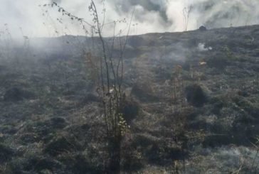 У Бережанах і Теребовлі через спалювання сухої трави могли згоріти ліси (ФОТО)