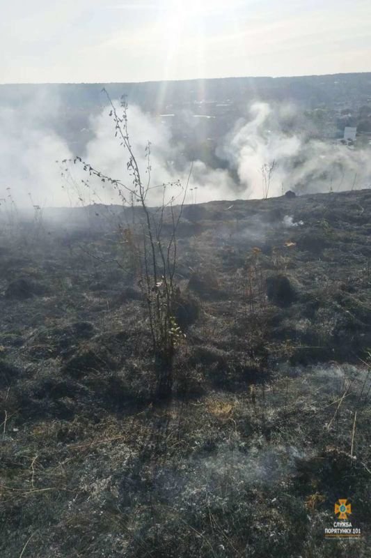У Бережанах і Теребовлі через спалювання сухої трави могли згоріти ліси (ФОТО)