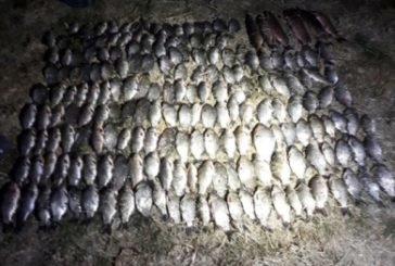 На Теребовлянщині «застукали» браконьєрів, у сітки яких попалося 37 кг риби 