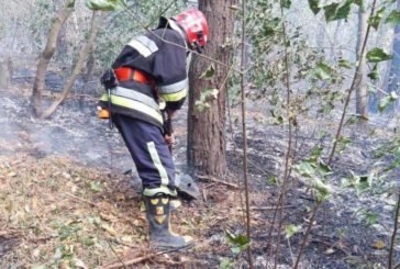 На Тернопільщині через підпал сухої трави могло згоріти 4000 гектари лісу (ФОТО)