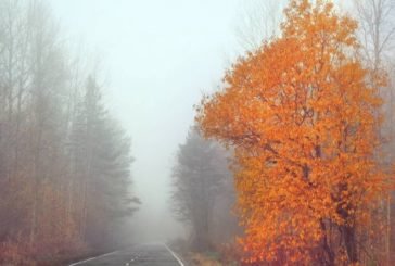 Сильні тумани огорнуть Україну, але буде тепло
