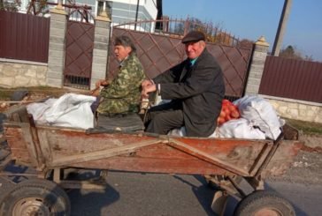 На Шумщині збирають картоплю на потреби лікарні (ФОТО)