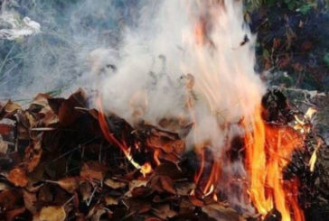 Жителям Тернопільщини на замітку: спалювання листя несе шкоду для здоров’я та передбачає штраф