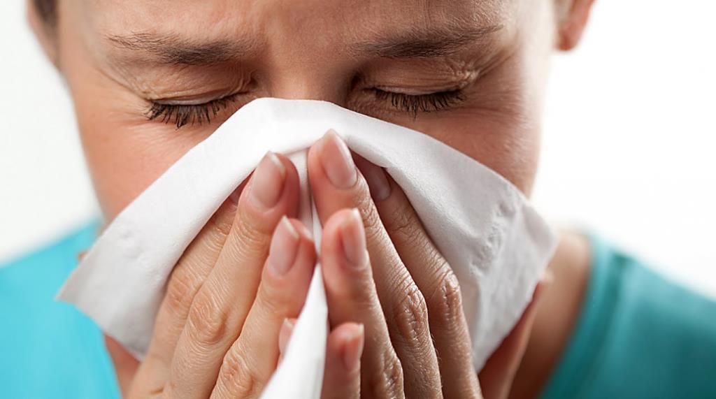 Алергія на домашній пил – хто винен?