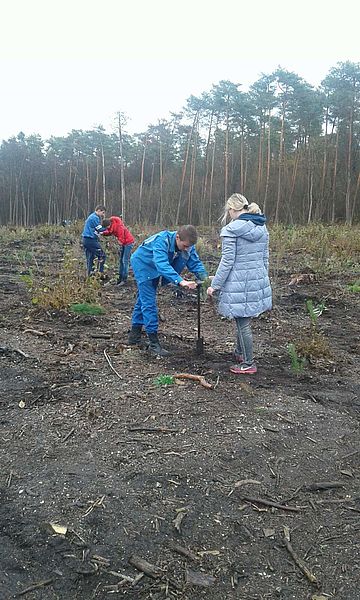 На Кременеччині учні й студенти допомогли висадити декілька гектарів лісу (ФОТО)