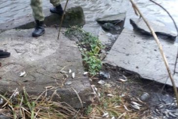 Браконьєри на річках Тернопільщини активно «працюють»